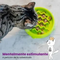 Catstages Cat Fun Comedouro Anti-Voracidade Verde para gatos