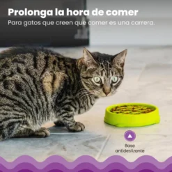 Catstages Cat Fun Comedouro Anti-Voracidade Verde para gatos