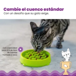 Catstages Cat Fun Comedouro Anti-Voracidade Verde para gatos