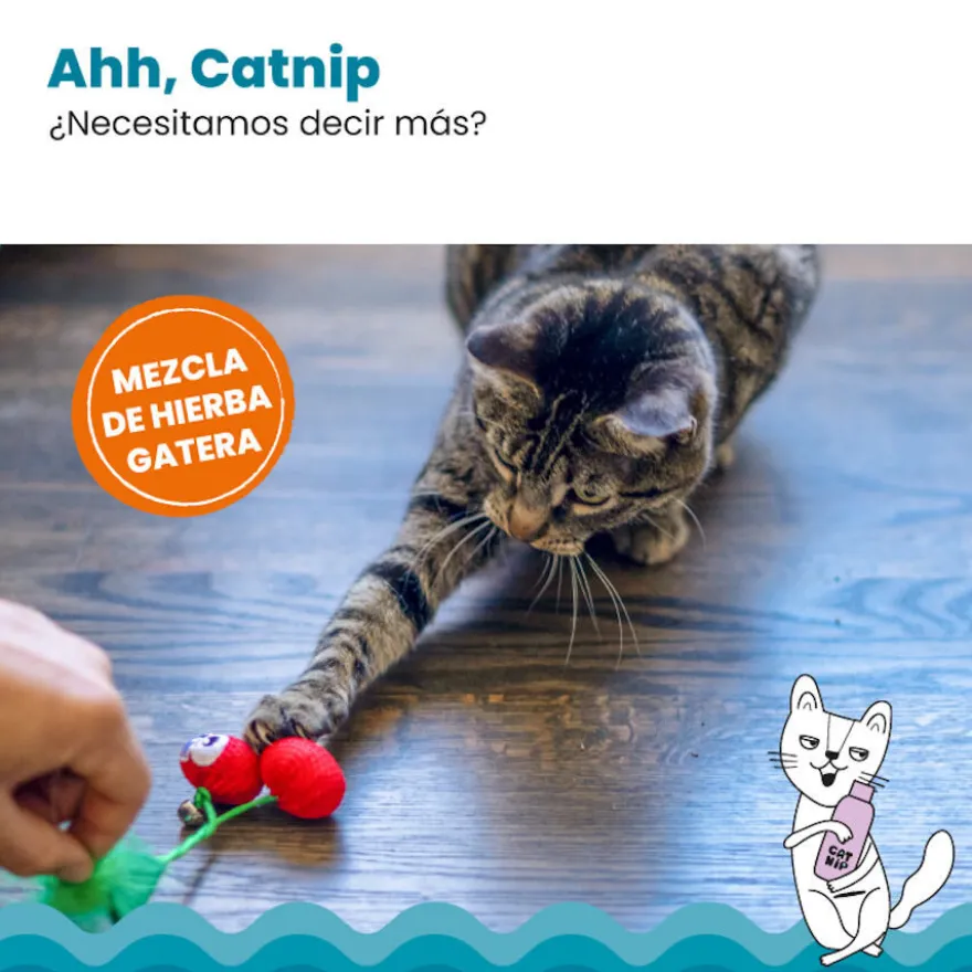Catstages Dental Cherries Cerejas de Peluche macias para gatos