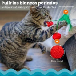 Catstages Dental Cherries Cerejas de Peluche macias para gatos