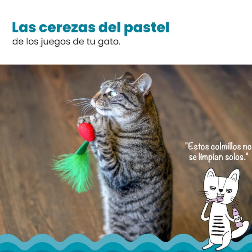 Catstages Dental Cherries Cerejas de Peluche macias para gatos