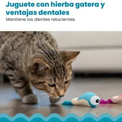 Catstages Dental Shrimpies Peluches com Penas para gatos