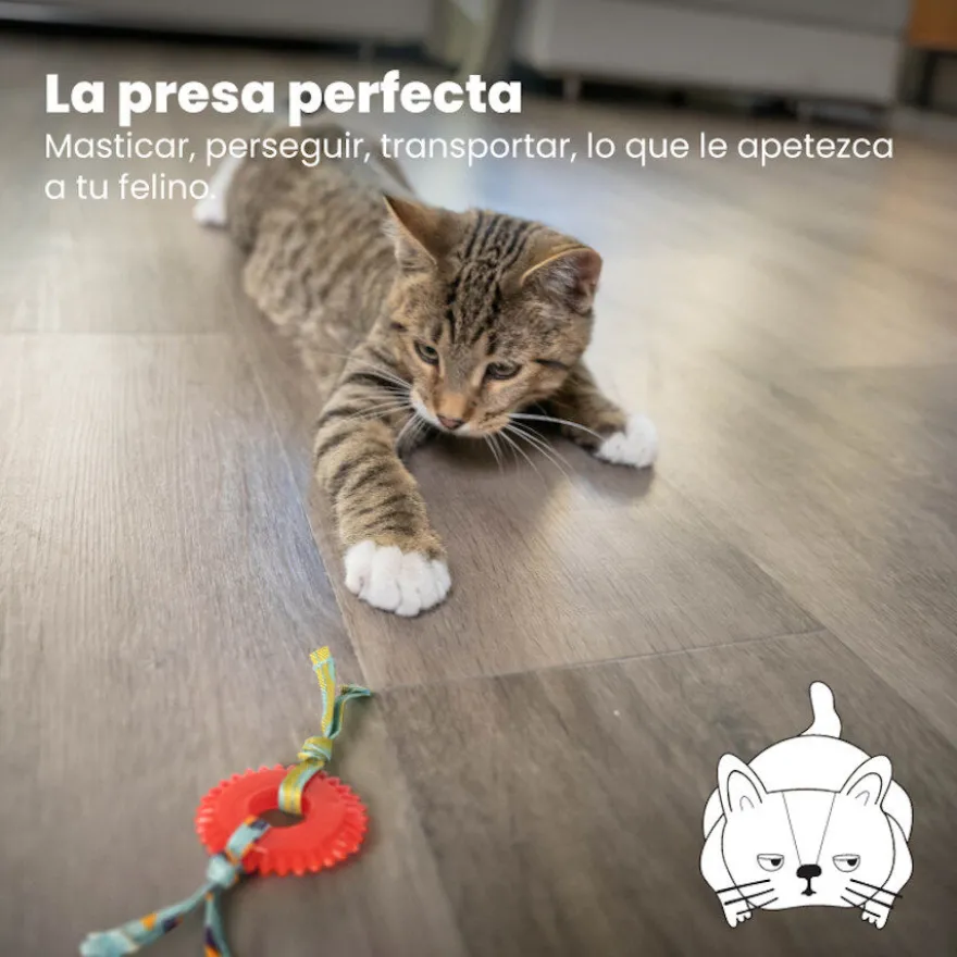 Catstages Kitty Chew Vermelha Brinquedo Roda Mordedora para gatos