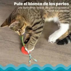 Catstages Kitty Chew Vermelha Brinquedo Roda Mordedora para gatos