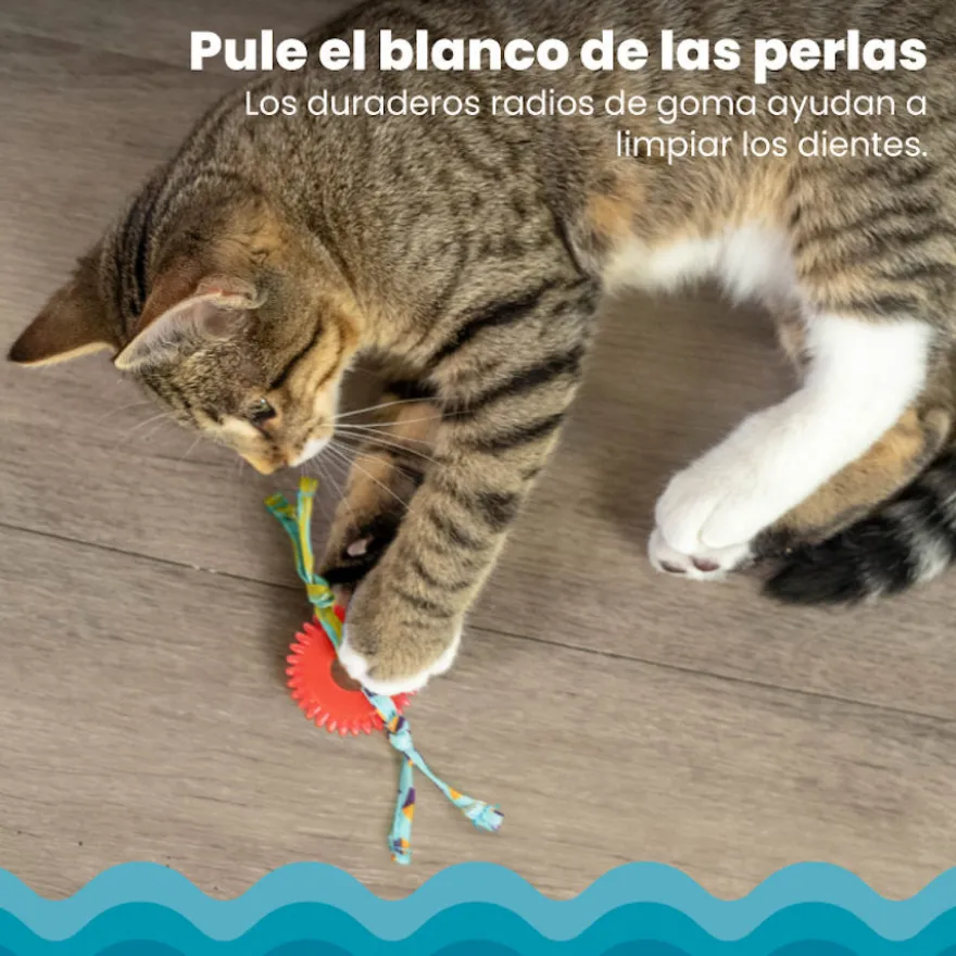 Catstages Kitty Chew Vermelha Brinquedo Roda Mordedora para gatos