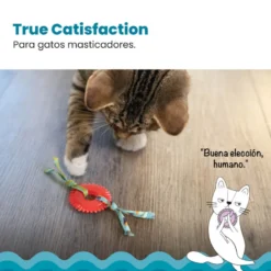 Catstages Kitty Chew Vermelha Brinquedo Roda Mordedora para gatos