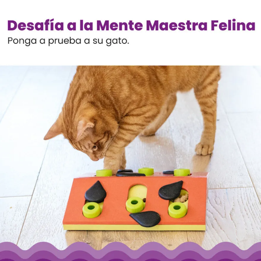 Catstages Nina Ottosson Puzzle & Play Melon Madness Brinquedo de Inteligência para gatos