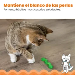Catstages OrkaKat Minhoca de borracha para gatos