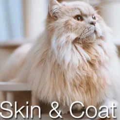Catxtreme Adult Skin & Coat Sterilised Ração de frango para gatos