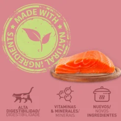 Catzilla Adult Grain Free Salmão Patê lata para gatos