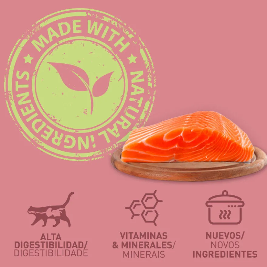 Catzilla Adult Grain Free Salmão Patê lata para gatos