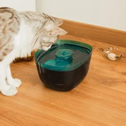 Cecotec Pumba 2200 Refresh Bebedouro Automático para cães e gatos