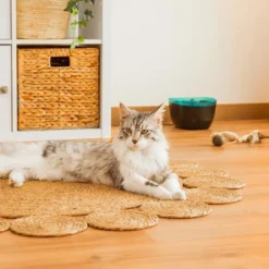 Cecotec Pumba 2200 Refresh Bebedouro Automático para cães e gatos