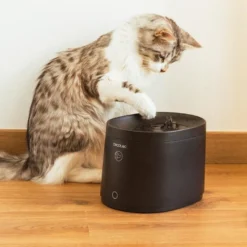 Cecotec Pumba 2500 Refresh Smart Bebedouro para gatos