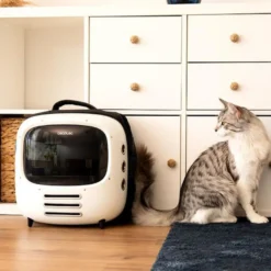 Cecotec Pumba 1800 Travel Fan Transportadora para cães e gatos