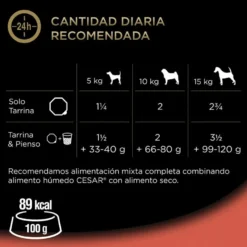 Cesar Boi e Legumes Terrina em Geleia para Cães