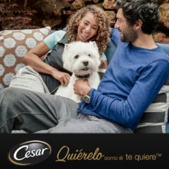 Cesar Mistura de Carnes Geleia em Saquinho para Cães - Multipack
