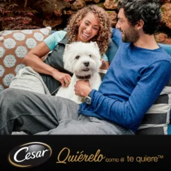 Cesar Mistura de Carnes Geleia em Saquinho para Cães Sénior - Multipack