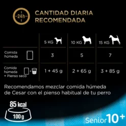 Cesar Mistura de Carnes Geleia em Saquinho para Cães Sénior - Multipack
