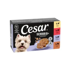 Cesar Mistura de Carnes Terrina em Geleia para Cães Sénior - Multipack