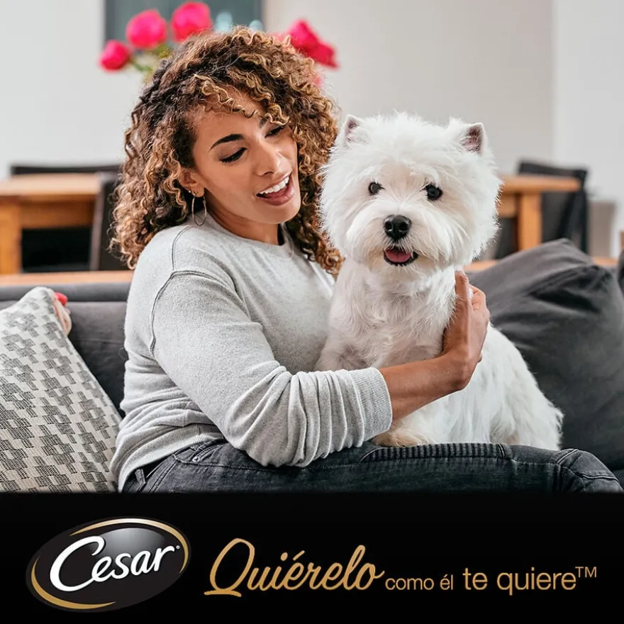 Cesar Mix de Carnes em Molho Saquetas para cães - Multipack