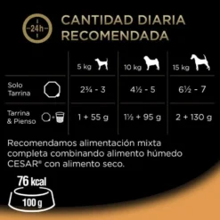 Cesar Recetas da horta Terrina em Patê e Geleia para Cães - Multipack