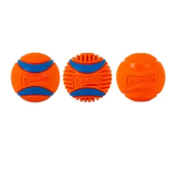 Chuckit! Fetch Medley Conjunto de Bolas para cães
