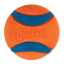 Chuckit! Ultra Bola Grande com Brilho para cães