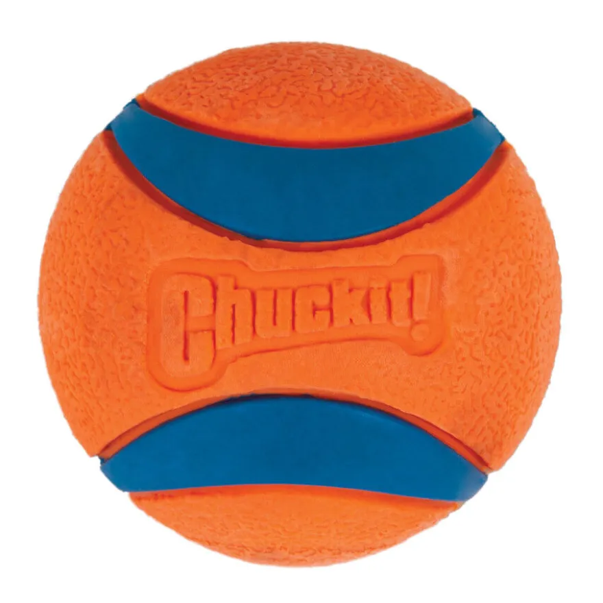 Chuckit! Ultra Bola Grande com Brilho para cães