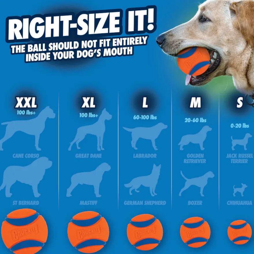 Chuckit! Ultra Bola Grande com Brilho para cães