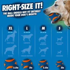 Chuckit! Ultra Squeaker Bola com som e efeito de salto para cães – Pack 2