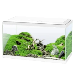 Ciano Aqua Led 60 Aquário Branco com luz led, filtro e aquecedor