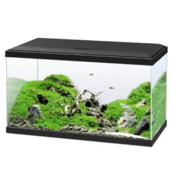 Ciano Aqua Led 60 Aquário Preto com Luz led, filtro e aquecedor