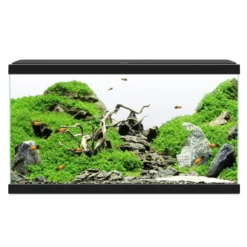 Ciano Aqua Led 60 Aquário Preto com Luz led, filtro e aquecedor