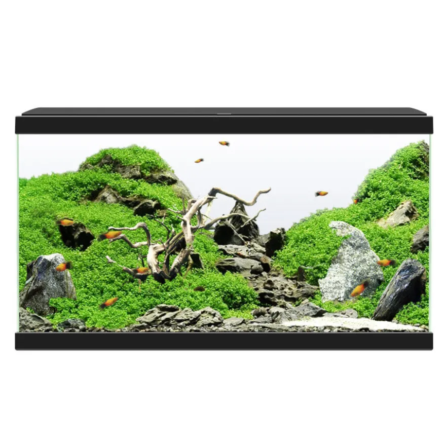 Ciano Aqua Led 60 Aquário Preto com Luz led, filtro e aquecedor
