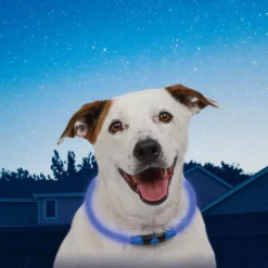 Colar Nite Ize NiteHowl Coleira com luz LED azul para cães