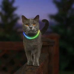 Coleira de segurança LED Nite Ize NiteMeow para gatos