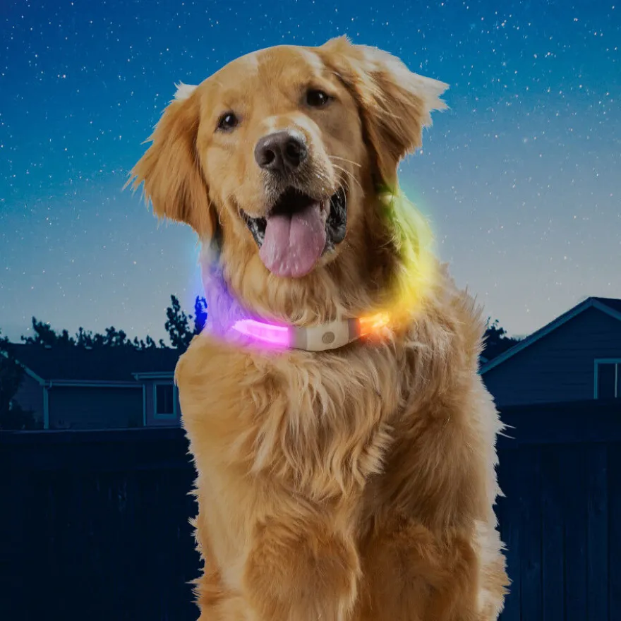 Coleira de segurança para cães Nite Ize NiteHowl Max LED