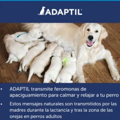 Coleira tranquilizante para cães