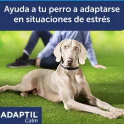 Coleira tranquilizante para cães