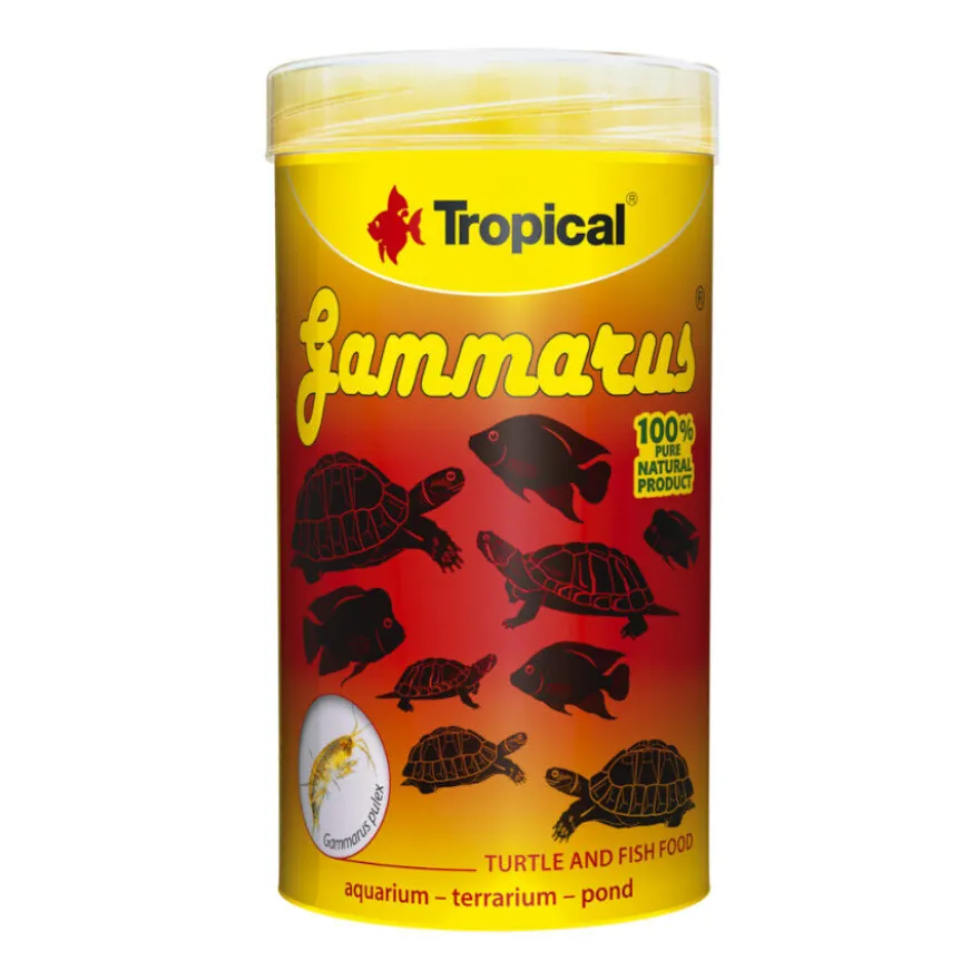 Comida de tartaruga tropical Gammarus