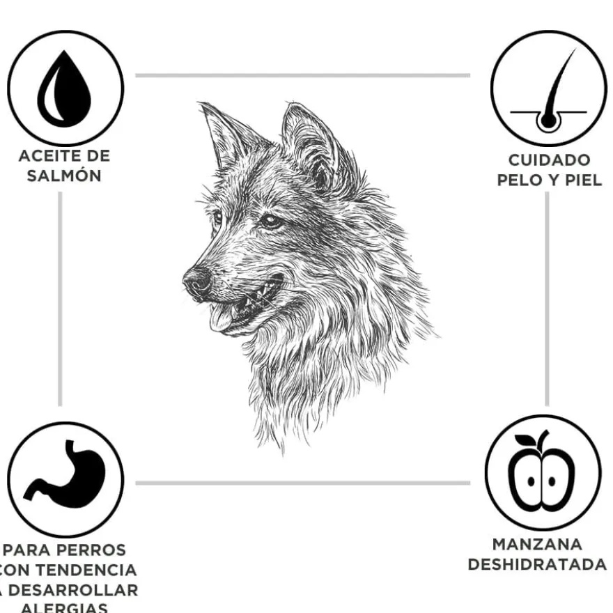 Criadores Adult Borrego e Arroz ração para cães de porte médio e grande