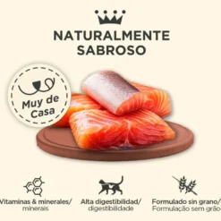 Criadores Adulto com Salmão lata para gatos