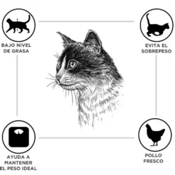 Criadores Adulto Esterilizado Frango ração para gatos