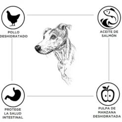 Criadores Adulto Ração de frango e arroz para cães de porte médio