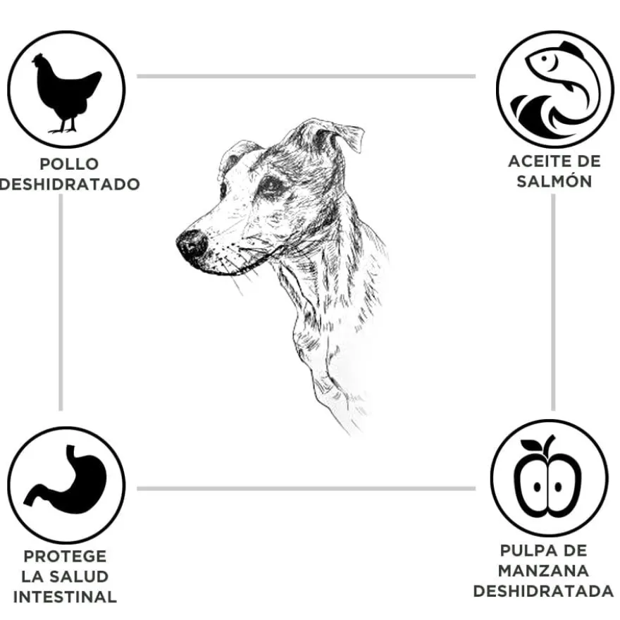 Criadores Adulto Ração de frango e arroz para cães de porte médio