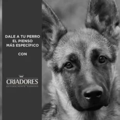 Criadores Adulto Salmão e Arroz ração para cães de porte médio e grande