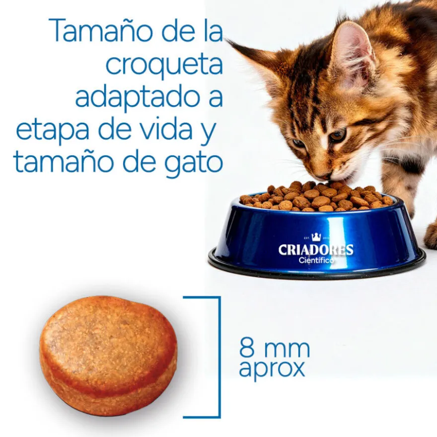 Criadores Científico Adulto Esterilizado Ração de frango para gatos