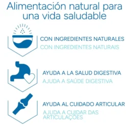 Criadores Científico Adulto Maxi Ração de frango para cães